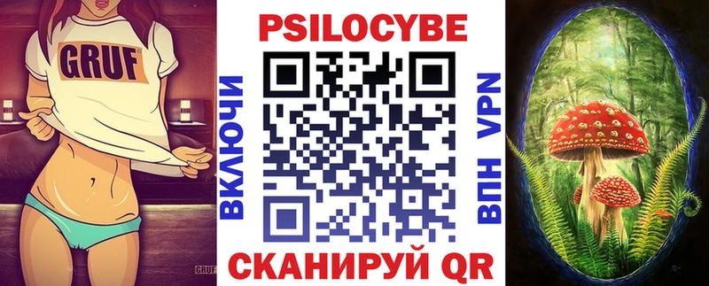 цена наркотик  Гай  Галлюциногенные грибы Psilocybine cubensis 