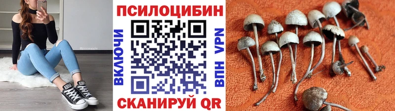 Псилоцибиновые грибы GOLDEN TEACHER Гай